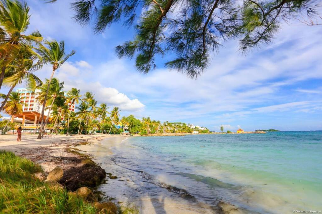 Paradis Studio & Plage A 1 Min Le Gosier  Dış mekan fotoğraf