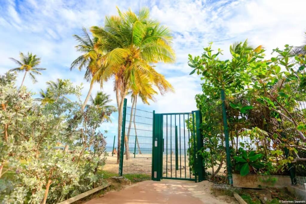 Paradis Studio & Plage A 1 Min Le Gosier  Dış mekan fotoğraf