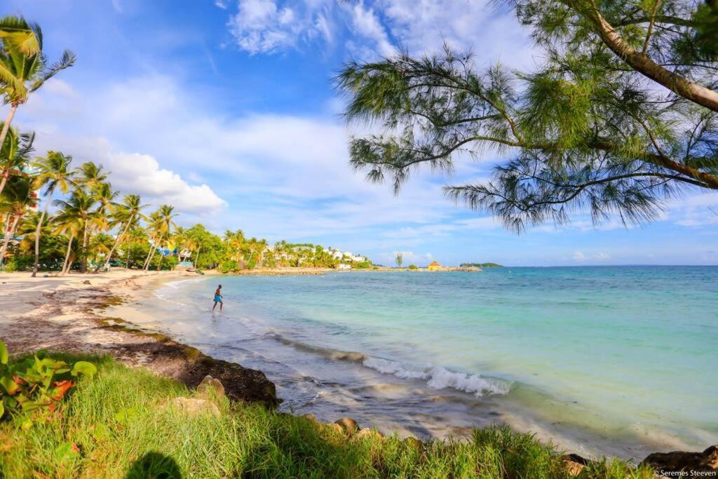 Paradis Studio & Plage A 1 Min Le Gosier  Dış mekan fotoğraf